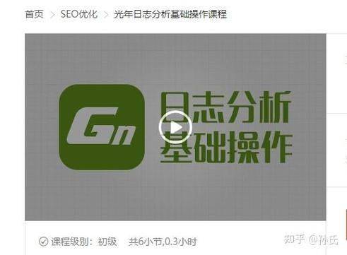 光年seo日志分析