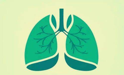 结核病是结核杆菌感染引起的疾病