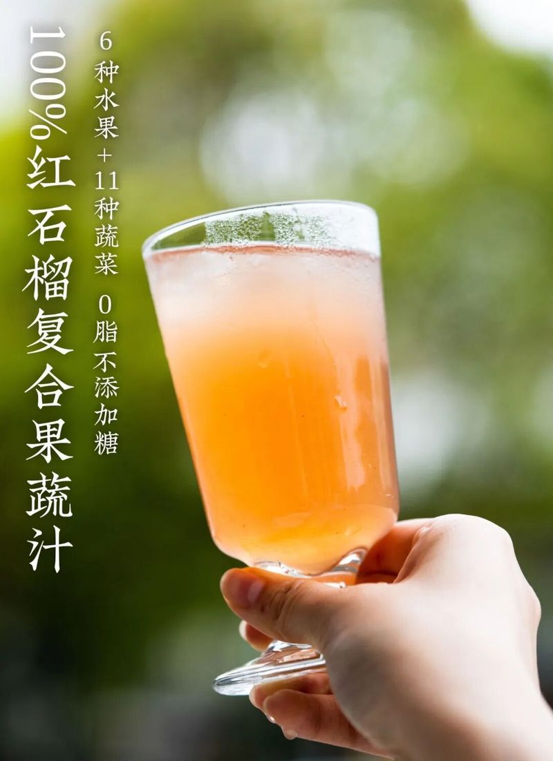 蔬菜汁饮品成本