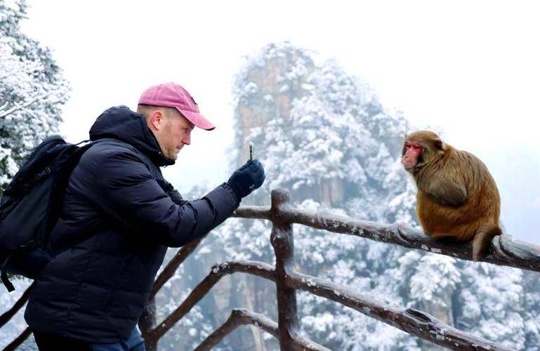 旅游服务贸易理论