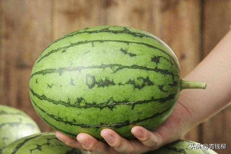 小拱棚西瓜种植技术视频