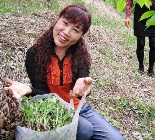 田七盆栽的种植方法