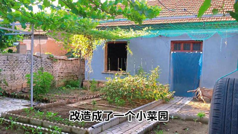 小温候菠菜种植技术