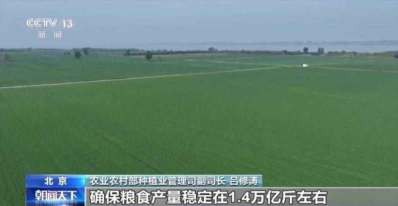 2026水稻种植技术视频