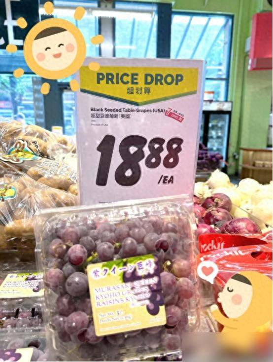 The method of planting the raisins on the balcony