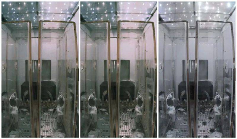 怎样在中国空间站种水稻？