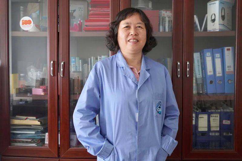 水稻的种植方法