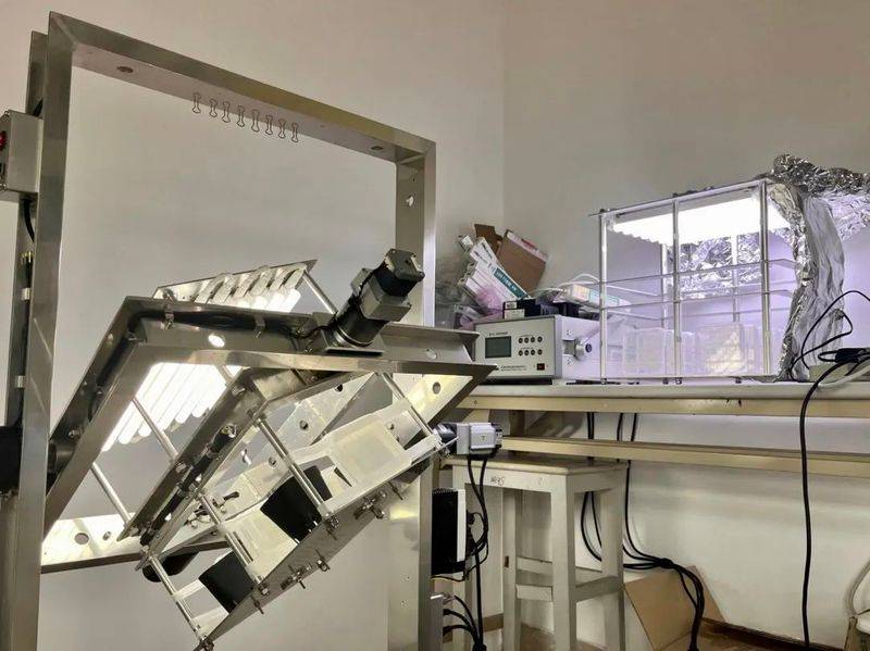 水稻的种植方法