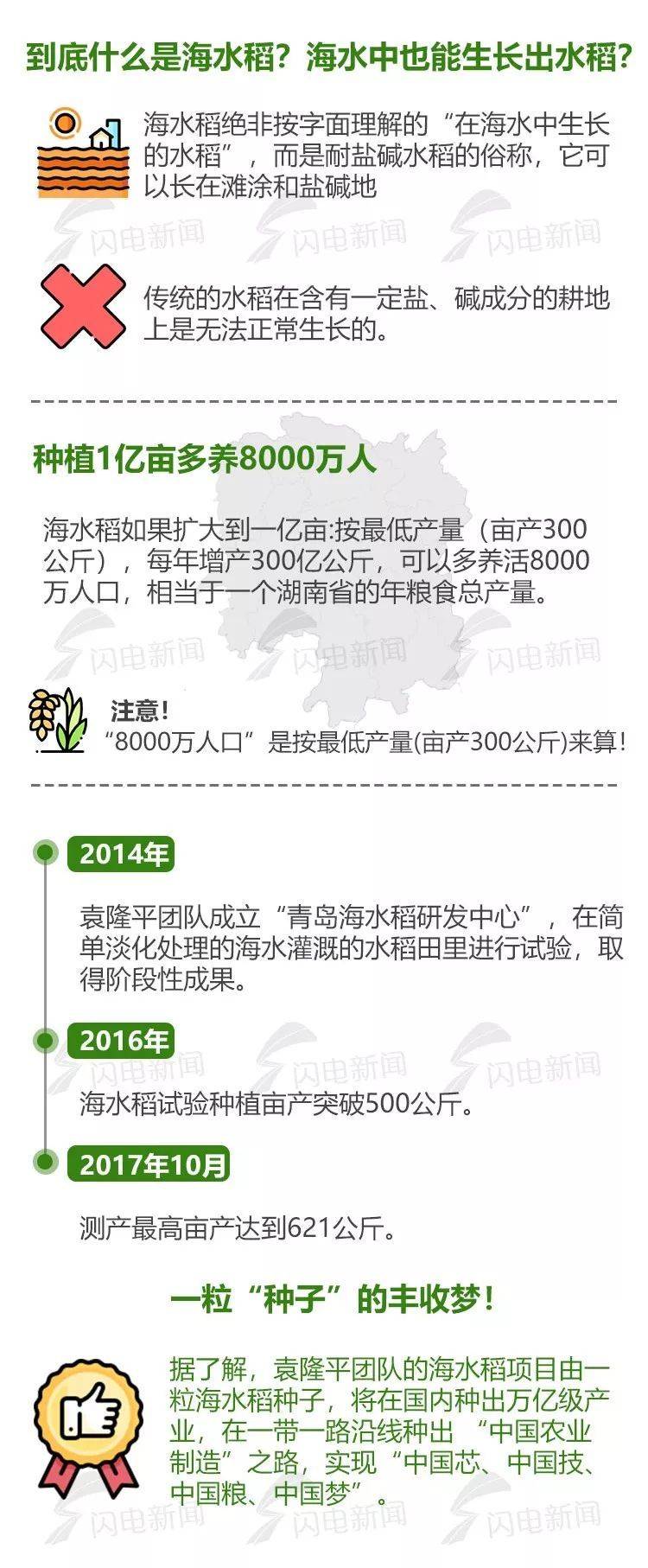 水稻的种植方法