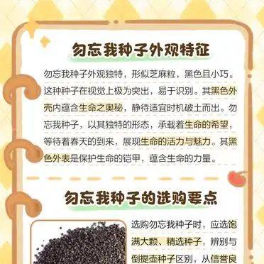 勿忘我种子种植方法