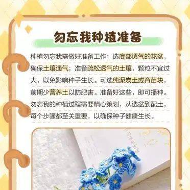 勿忘我种子种植方法