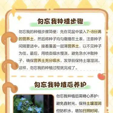 勿忘我种子种植方法