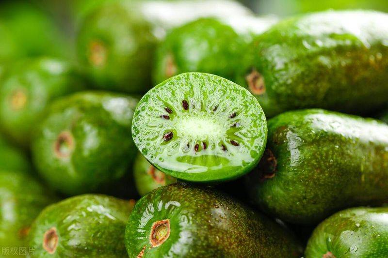 软枣猕猴桃种植技术