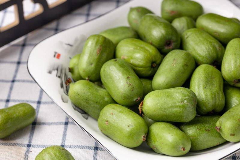 软枣猕猴桃种植技术