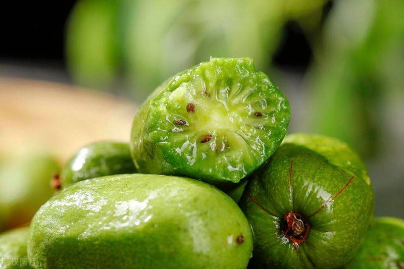 软枣猕猴桃种植技术