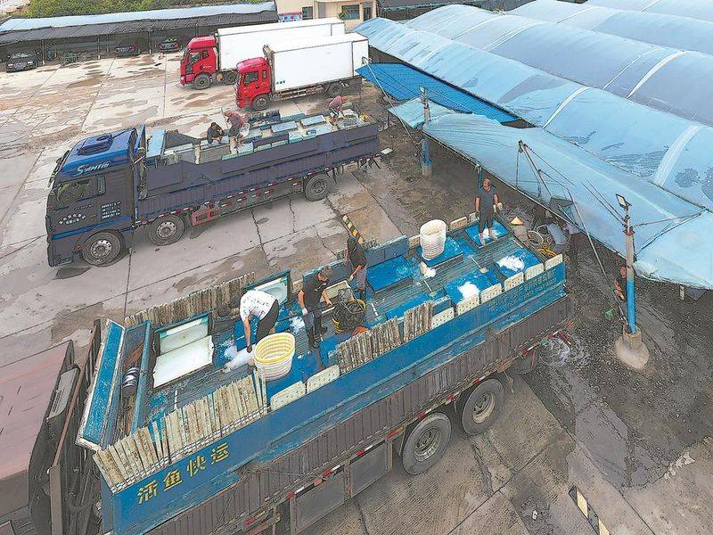 石斑鱼多少钱一斤