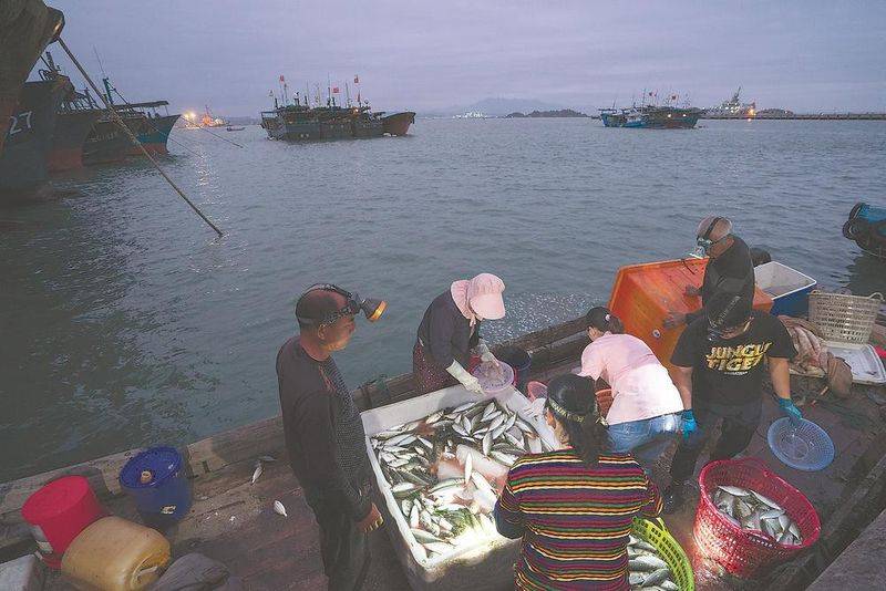 石斑鱼多少钱一斤