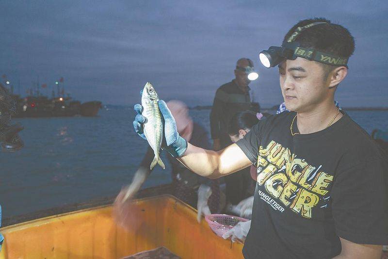 石斑鱼多少钱一斤