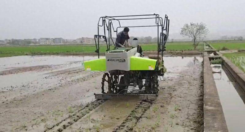 水稻的种植方法