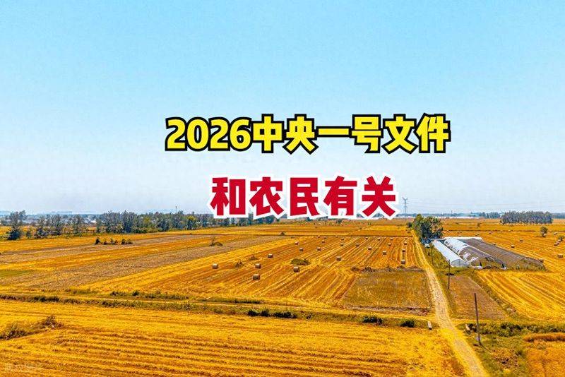 2026水稻种植技术视频