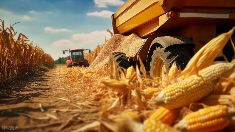 2026水稻种植技术视频