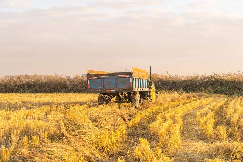 2026水稻种植技术视频