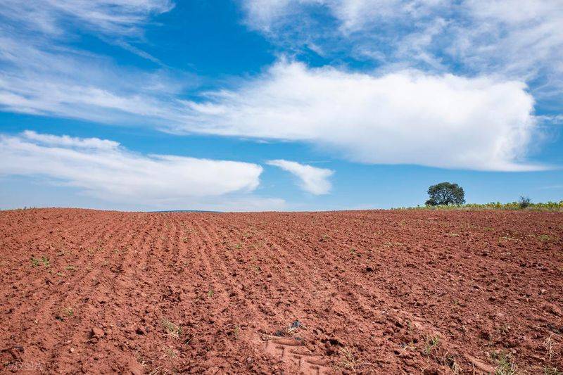 2026水稻种植技术视频