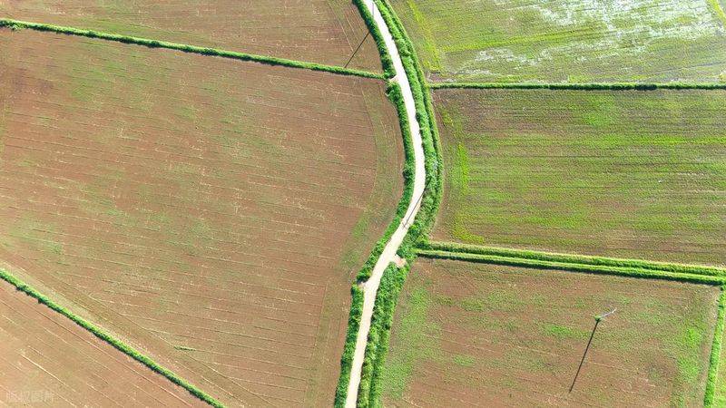 2026水稻种植技术视频