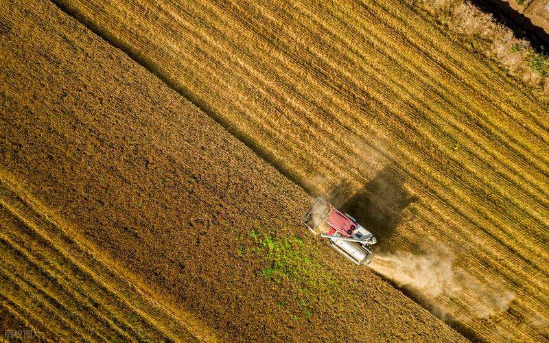 2026水稻种植技术视频