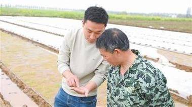 2026水稻种植技术视频