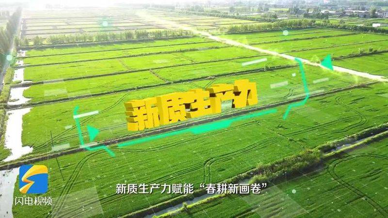 2026水稻种植技术视频