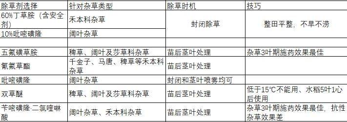 水稻的种植方法