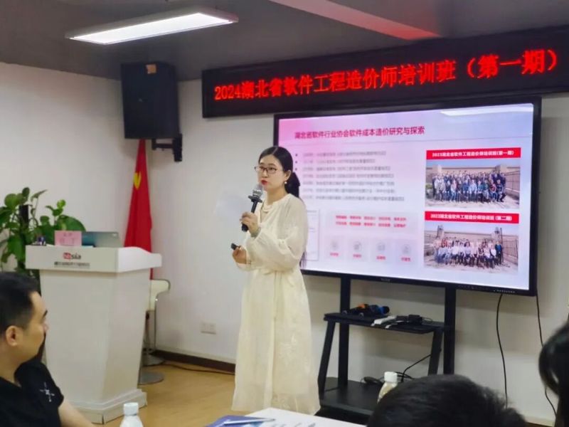软件项目成本