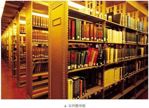 公共图书馆知识管理