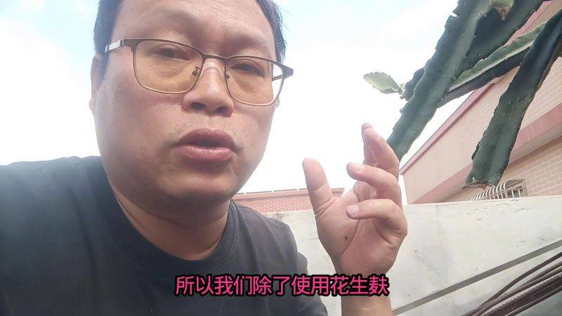 How to plant a small tub of flamingo