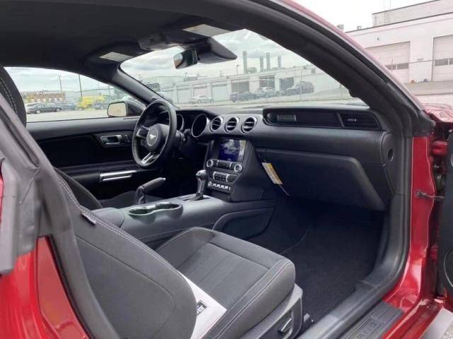 新款福特野马多少钱