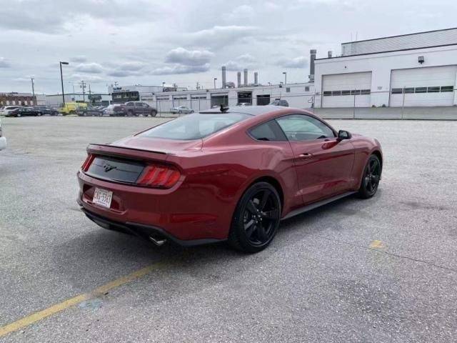 新款福特野马多少钱