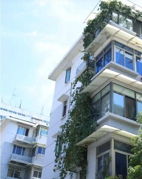 The method of planting the raisins on the balcony