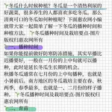 小东瓜种植技术