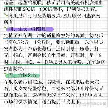 小东瓜种植技术