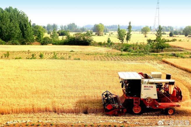 A video of a melon growing technique