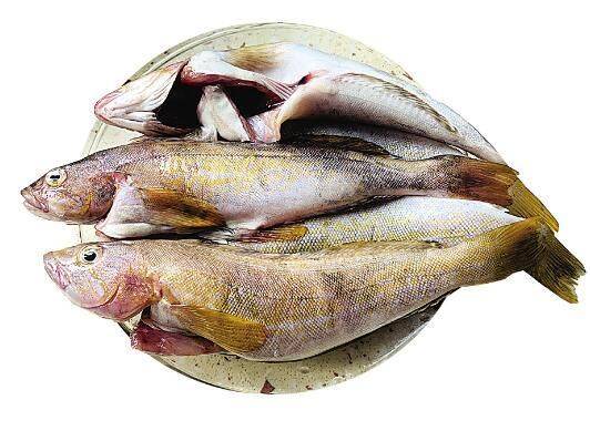 石斑鱼多少钱一斤