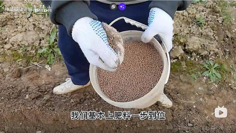 土豆种植方法