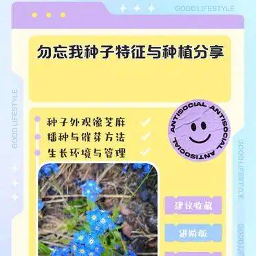 勿忘我种子特征与种植分享