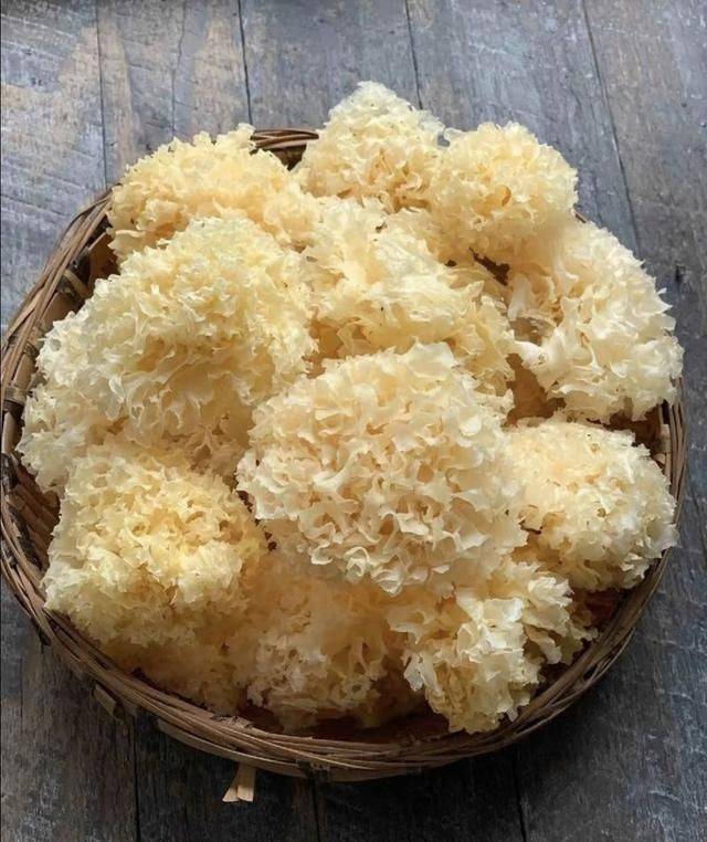 养颜美容的食物老年人养生知识大全