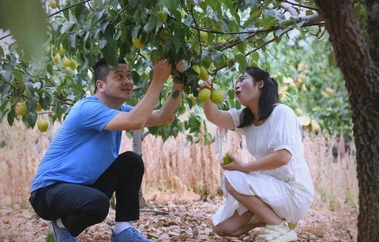 蓝莓种植技术有哪些