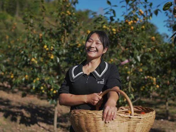 蓝莓种植技术有哪些