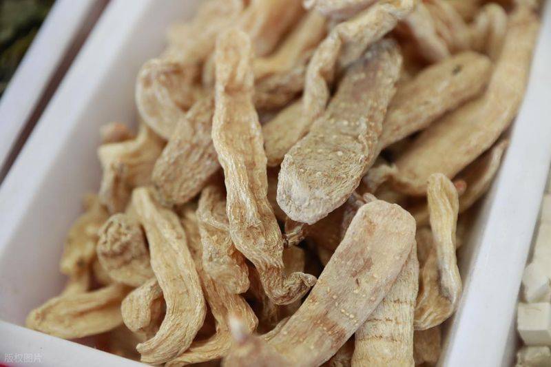 昭通天麻种植技术