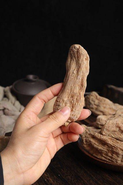 昭通天麻种植技术