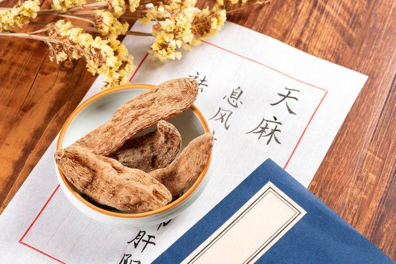 昭通天麻种植技术